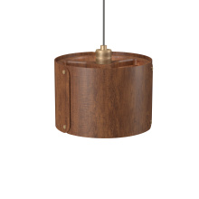 Accord Lighting Canada 1539.06 - Element Accord Pendant 1539