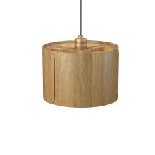 Accord Lighting Canada 1539.09 - Element Accord Pendant 1539