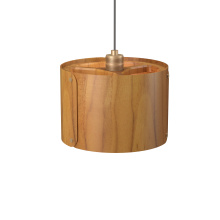 Accord Lighting Canada 1539.12 - Element Accord Pendant 1539