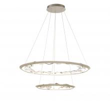 Lib & Co. CA 12164-041 - Nettuno, 2 Tier LED Chandelier, Painted Brushed Champagne
