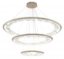 Lib & Co. CA 12165-041 - Nettuno, 3 Tier LED Chandelier, Painted Brushed Champagne