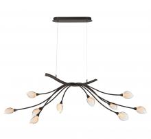Lib & Co. CA 12234-043 - Modena, 10 Light Oval LED Chandelier, Black with Gold Accent