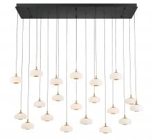 Lib & Co. CA 12242-02 - Adelfia, 20 Light Rectangular LED Chandelier, Matte Black