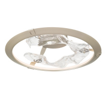 Lib & Co. CA 12313-041 - Nettuno,18" LED Ceiling Mount Painted Brushed Champagne