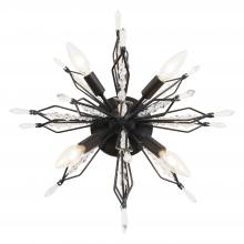 Varaluz 311S04CB - Orbital 4 Light Wall/Ceiling Light - Carbon