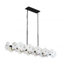Varaluz 370N10MB - Cosmos 10 Light   Linear Pendant - Matte Black