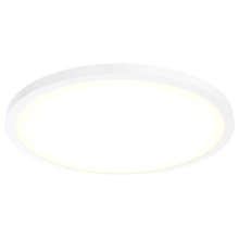 Dals CA CFLEDR24-CC-WH - 24'' ceiling flushmount