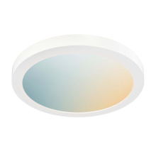 Dals CA DCP-FMM12-WH - Smart 12in Flush Mount, RGB+CCT, BLE mesh - Black
