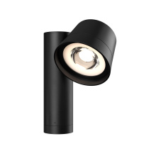 Dals CA DCP-SPT6-BK - DALS CONNECT PRO Smart Landscape Spot Light with 6" tube