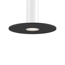 Dals CA PIL-ACCFD24-DG-WH - White mounting reflector and 24in felt disk Dark gray for PILXX