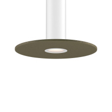 Dals CA PIL-ACCFD24-GR-WH - White mounting reflector and 24in felt disk Green for PILXX