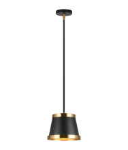 Matteo Lighting C62901BKAG - Caske Pendant
