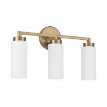 Capital Canada 151731AD - 3 Light Vanity