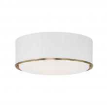 Capital Canada 254831RE - 3 Light Flush