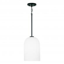 Capital Canada 348811MB - 1 Light Pendant
