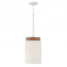 Capital Canada 350911LT - 1 Light Pendant