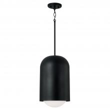 Capital Canada 351612BI - 1 Light Pendant