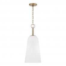 Capital Canada 356911MA - 1 Light Pendant