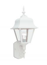Generation Lighting 8765-15 - Polycarbonate Outdoor traditional 1-light outdoor exterior large wall lantern sconce in white finish