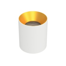 WAC Canada C4RL-FCS-WTGL - Zoron Round Flush Mount