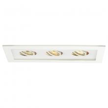 WAC Canada MT-316-WT/WT - Low Voltage Multiple Two Light Trim