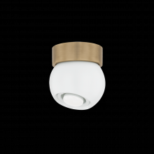 Troy C1406-PBR/SWH - ODIN Flush Mount