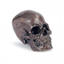 Regina Andrew 20-1034BZ - Regina Andrew Metal Skull (Antique Bronze)