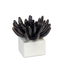 Regina Andrew 20-1484BLKZ - Regina Andrew Succulent Sculpture 2 (Blackened Zinc)