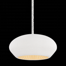 Hudson Valley 2224-GSW - FERNDALE Pendant