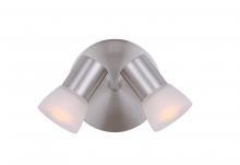 Canarm ICW517A02BN - Hudson, ICW517A02BN, 2 Lt Ceiling/Wall, Frosted Glass, 60W A15 or R16, 6 .25 IN W x 6 .25 IN H
