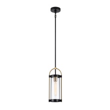 Artcraft AC11511BB - Bonita Collection 1-Light Pendant Black and Brushed Brass