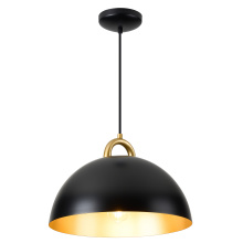 Artcraft AC12001BB - Pantheon - 1-Light Pendant - 19.5" - Black/Rust Brass
