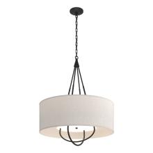 Hubbardton Forge - Canada 104230-SKT-10-10-SE2811 - Loop Pendant