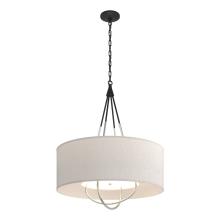 Hubbardton Forge - Canada 104230-SKT-10-85-SE2811 - Loop Pendant
