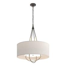 Hubbardton Forge - Canada 104230-SKT-14-86-SE2811 - Loop Pendant