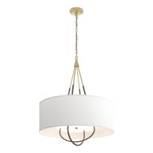 Hubbardton Forge - Canada 104230-SKT-86-05-SF2811 - Loop Pendant