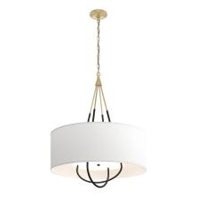 Hubbardton Forge - Canada 104230-SKT-86-10-SF2811 - Loop Pendant