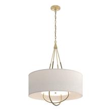 Hubbardton Forge - Canada 104230-SKT-86-84-SE2811 - Loop Pendant