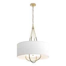 Hubbardton Forge - Canada 104230-SKT-86-84-SF2811 - Loop Pendant