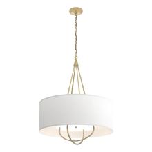Hubbardton Forge - Canada 104230-SKT-86-86-SF2811 - Loop Pendant