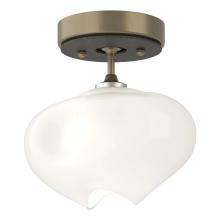 Hubbardton Forge - Canada 121372-SKT-84-20-FD0710 - Ume 1-Light Semi-Flush