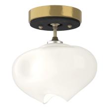 Hubbardton Forge - Canada 121372-SKT-86-10-FD0710 - Ume 1-Light Semi-Flush