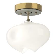 Hubbardton Forge - Canada 121372-SKT-86-85-FD0710 - Ume 1-Light Semi-Flush