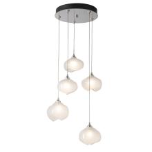 Hubbardton Forge - Canada 131123-SKT-LONG-20-FD0710 - Ume 5-Light Pendant