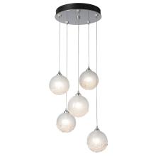 Hubbardton Forge - Canada 131131-SKT-STND-86-FD0750 - Fritz Globe 5-Light Pendant