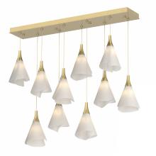 Hubbardton Forge - Canada 131202-SKT-STND-86-SH1987 - Mobius 10-Light Pendant