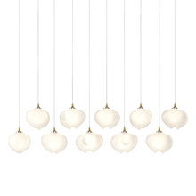 Hubbardton Forge - Canada 131203-SKT-LONG-86-FD0710 - Ume 10-Light Pendant