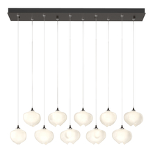 Hubbardton Forge - Canada 131203-SKT-STND-14-FD0710 - Ume 10-Light Pendant
