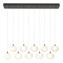 Hubbardton Forge - Canada 131203-SKT-STND-20-FD0710 - Ume 10-Light Pendant