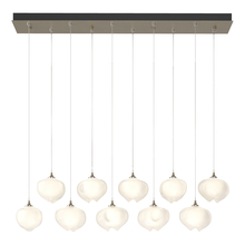 Hubbardton Forge - Canada 131203-SKT-STND-84-FD0710 - Ume 10-Light Pendant